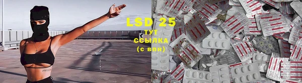 spice Каменка