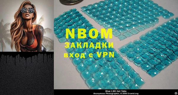 spice Каменка