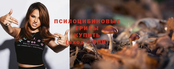 spice Каменка