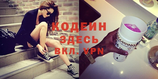 spice Каменка