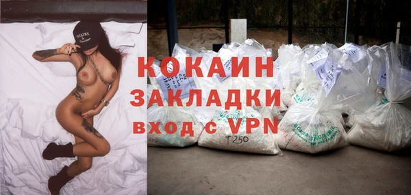 spice Каменка